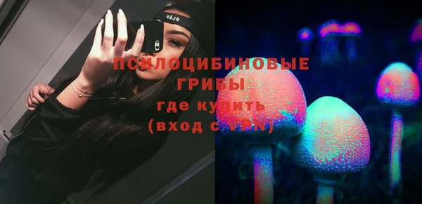 дживик Беломорск