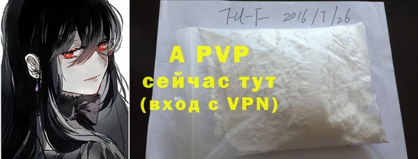 тгк Белокуриха