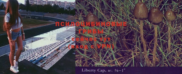 дживик Беломорск