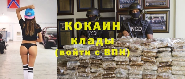 дживик Беломорск