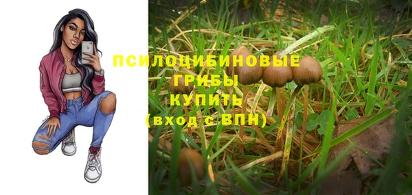 дживик Беломорск