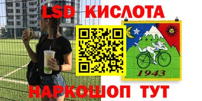 стаф Заводоуковск