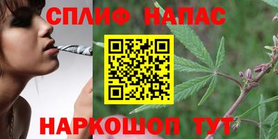 стаф Заводоуковск