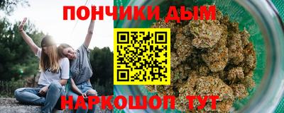 стаф Заводоуковск