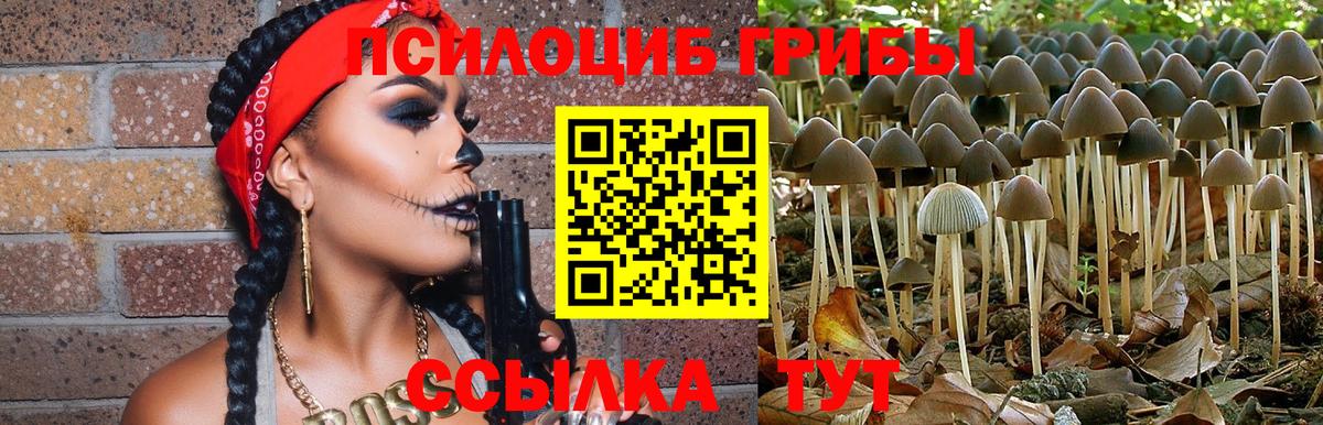Псилоцибиновые грибы мицелий Надым