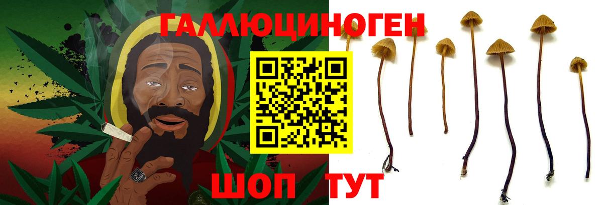 Псилоцибиновые грибы GOLDEN TEACHER  Вход с VPN  Надым 
